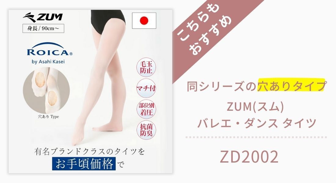 ZD2001はこちら
