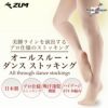 ■選べる2足セット■オールスルーダンスストッキングZSETZD2010A-C